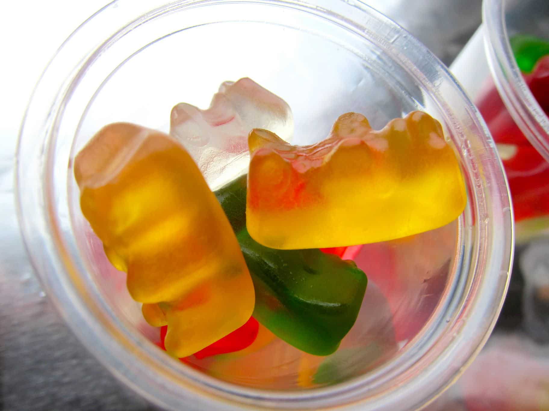 tumblr vodka gummy bears